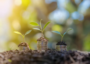 资本市场活跃度持续提升